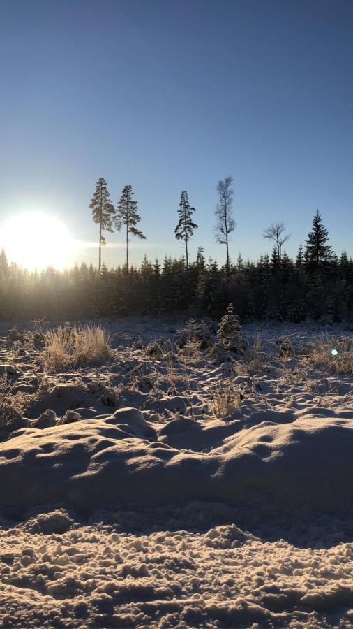 Trevlig Stuga Naera Hovfjaellet ทอร์สบี ภายนอก รูปภาพ