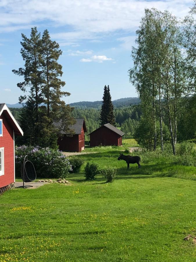 Trevlig Stuga Naera Hovfjaellet ทอร์สบี ภายนอก รูปภาพ