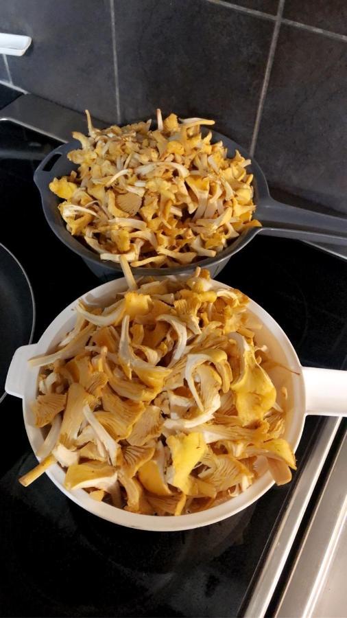 Trevlig Stuga Naera Hovfjaellet ทอร์สบี ภายนอก รูปภาพ